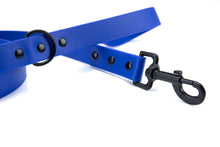 Load image into Gallery viewer, Henry &amp; Sadie Blue Lead with Black Hardware