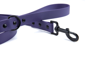 Henry & Sadie purple lead with black hardware