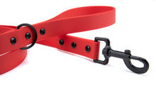 Load image into Gallery viewer, Henry &amp; Sadie Red Lead with black hardware