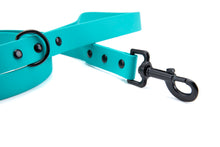 Load image into Gallery viewer, Henry &amp; Sadie Teal Lead with Black Hardware