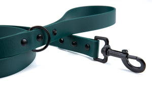 Henry & Sadie Forest Green Lead with Black Hardware