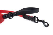 Load image into Gallery viewer, Henry &amp; Sadie Red and Black Lead Black Hardware
