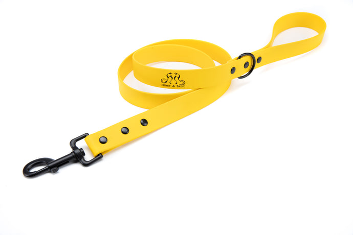 Henry & Sadie Yellow Lead with Black Hardware