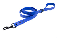 Load image into Gallery viewer, Henry &amp; Sadie Blue Lead with Black Hardware