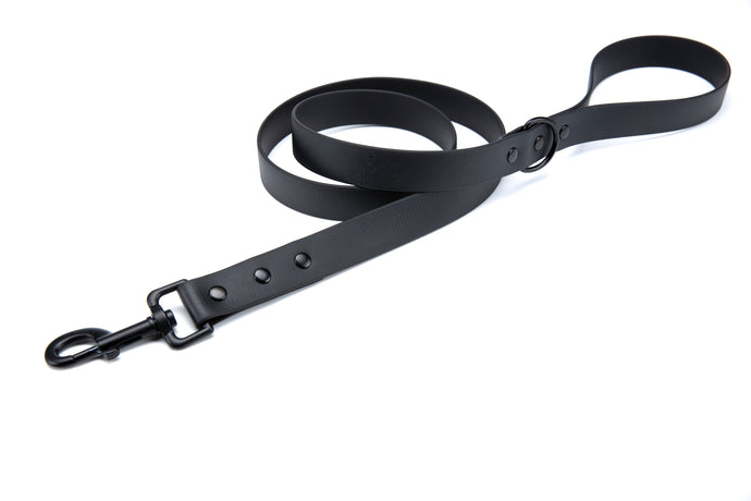 Henry & Sadie Onyx Black Lead with Black Hardware