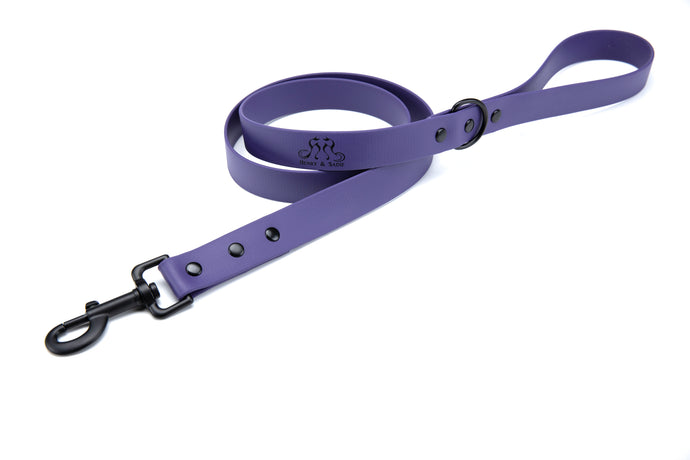 Henry & Sadie purple lead with black hardware