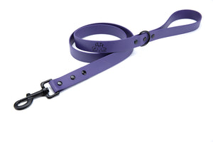 Henry & Sadie Purple Lead with Black Hardware