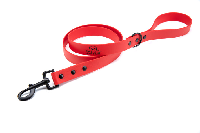 Henry & Sadie Red Lead with black hardware