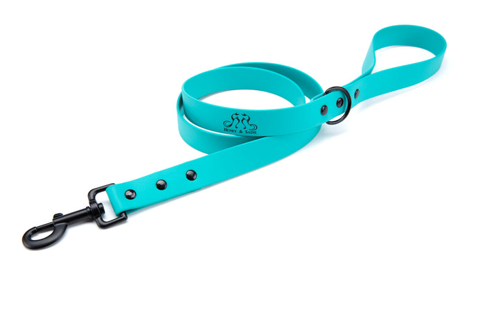 Henry & Sadie Teal Lead with Black Hardware