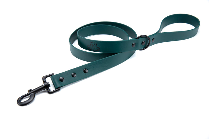 Henry & Sadie Forest Green Lead with Black Hardware