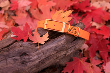 Load image into Gallery viewer, Henry &amp; Sadie Pumpkin Orange Collar with Solid Brass Hardware on a log surrounded by fall red and orange leaves