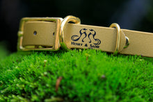 Load image into Gallery viewer, Henry &amp; Sadie Autumn Gold Collar with Solid Brass Hardware on a moss