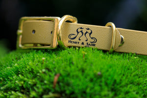 Henry & Sadie Autumn Gold Collar with Solid Brass Hardware on a moss