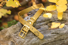 Load image into Gallery viewer, Henry &amp; Sadie Autumn Gold Collar with Solid Brass Hardware on a log with yellow leaves in the background