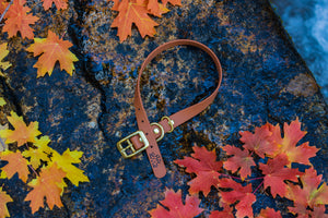 Henry & Sadie Cinnamon Brown Collar with Solid Brass Hardware on  Granite rock surrounded by fall red and orange leaves