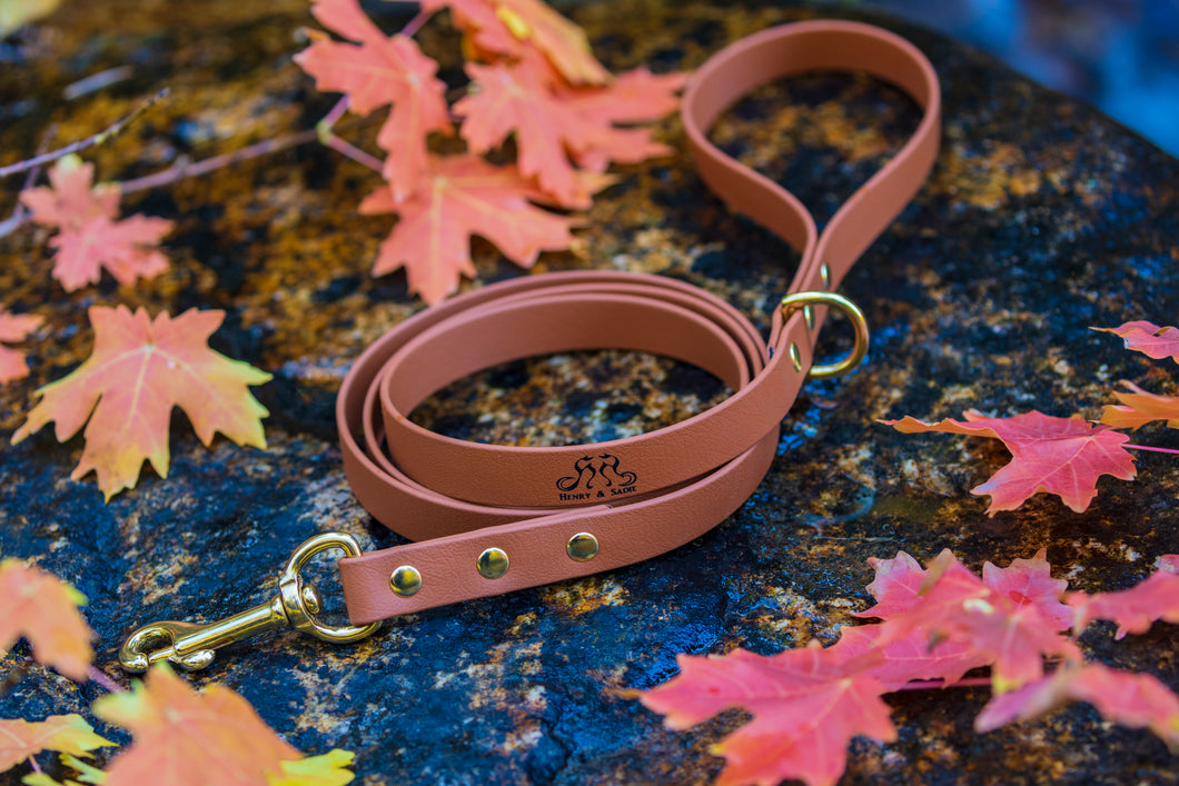 Henry & Sadie Cinnamon Brown Lead with Solid Brass Hardware on Rock surrounded by fall leaves