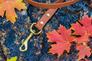 Henry & Sadie Cinnamon Brown Lead with Solid Brass Hardware close up on clasp on Rock surrounded by fall leaves