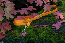 Load image into Gallery viewer, Henry &amp; Sadie Pumpkin Orange Lead covered with water droplets with Solid Brass Hardware on Moss surrounded by fall leaves