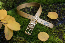 Load image into Gallery viewer, Henry &amp; Sadie Autumn Gold Collar with Solid Brass Hardware on moss with yellow leaves in the background