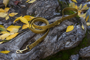 Henry & Sadie Autumn Gold Lead with Solid Brass Hardware on log surrounded by yellow leaves