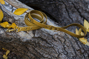 Henry & Sadie Autumn Gold Lead with Solid Brass Hardware on log surrounded by yellow leaves