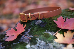 Henry & Sadie Cinnamon Brown Collar with Solid Brass Hardware on Mossy Granite rock surrounded by fall red and orange leaves