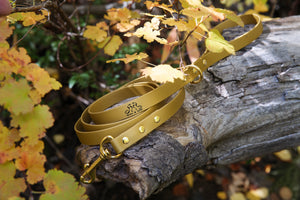 Henry & Sadie Autumn Gold Lead with Solid Brass Hardware on log surrounded by yellow leaves