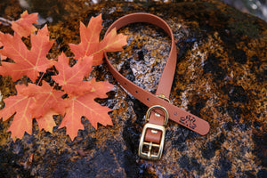 Henry & Sadie Cinnamon Brown Collar with Solid Brass Hardware on Granite rock surrounded by fall orange leaves