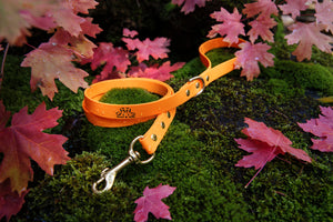 Henry & Sadie Pumpkin Orange Lead covered with water droplets with Solid Brass Hardware on Moss surrounded by fall leaves