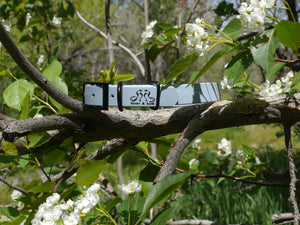 Henry & Sadie Stormy Blue Collar with a traditional black buckle, black hardware and logo in a tree blooming with white flowers