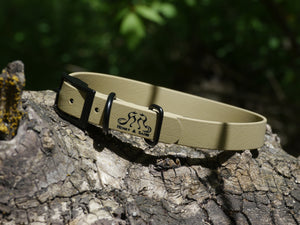 Henry & Sadie Sahara Sand Collar with Black Traditional Buckle and hardware on a tree stump