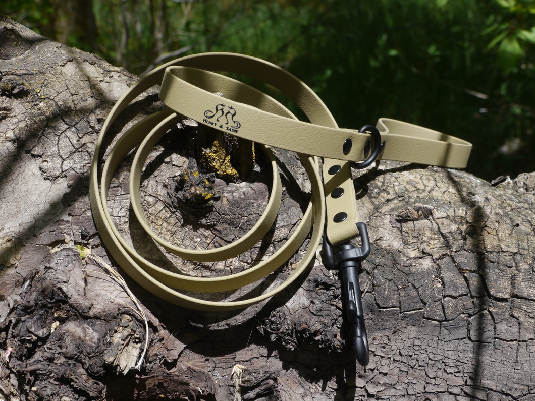 Henry & Sadie Sahara Sand Lead with Black Hardware and Logo on a Tree stump