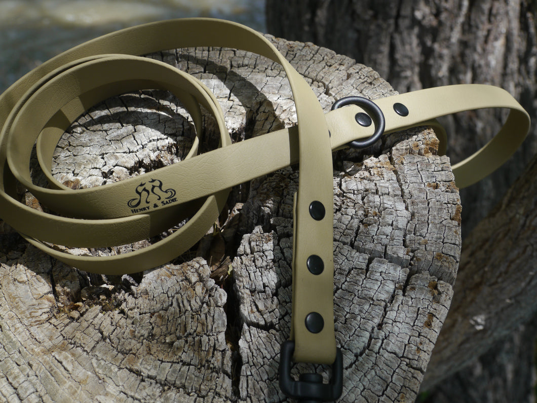 Henry & Sadie Sahara Sand Lead with Black Hardware and Logo on a Tree stump