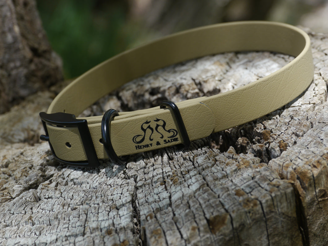 Henry & Sadie Sahara Sand Collar with Black Traditional Buckle and hardware on a tree stump