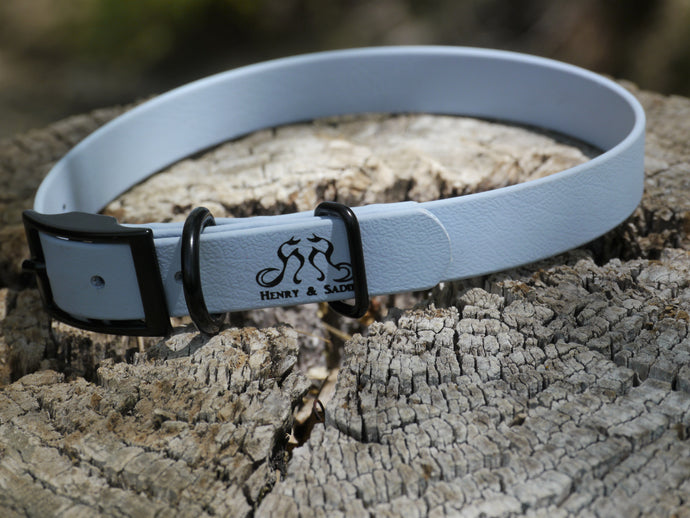 Henry & Sadie Stormy Blue Collar with a Traditional Black Buckle and Black Hardware with logo on a gray tree stump